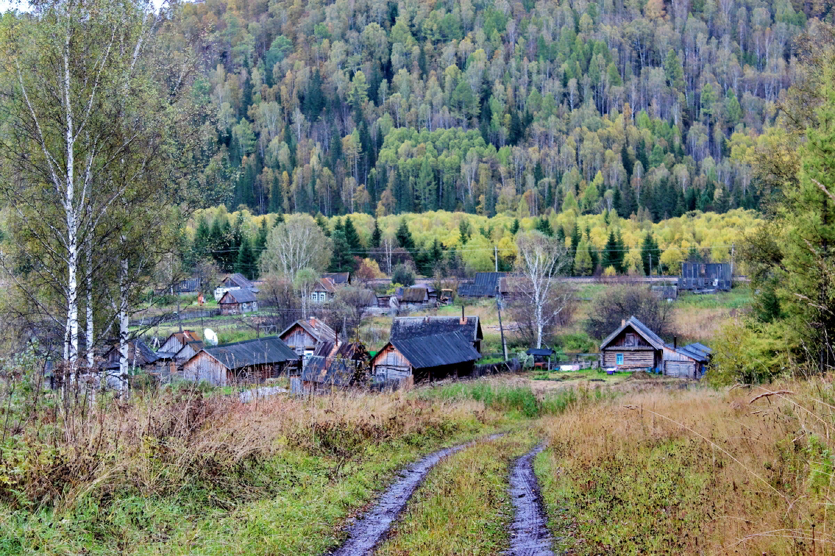 Возле сибири. Посёлок Таёжный Тайга. Таежные деревни Красноярского края. Поселок Таежный Пермский край. Заброшенные Сибирские деревни в тайге.