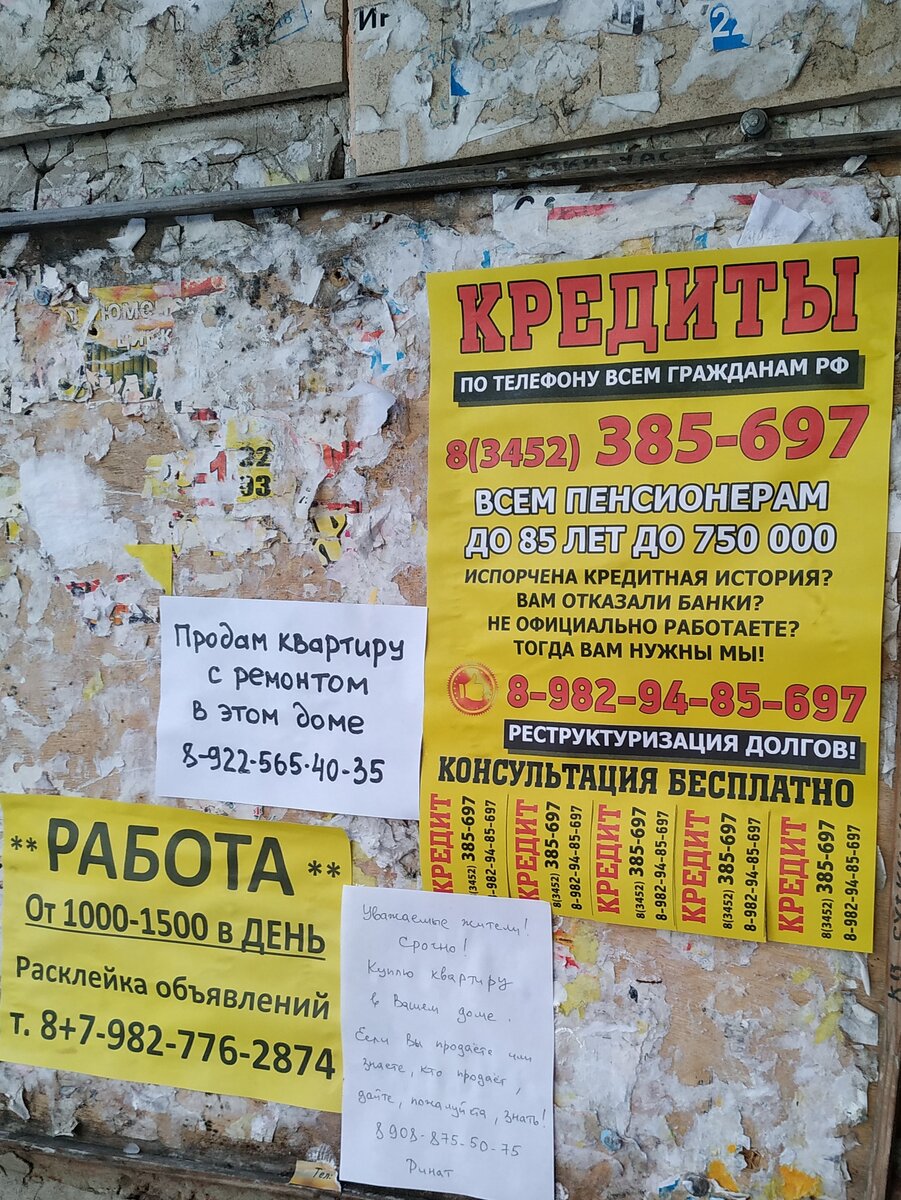 Сфотографировано мною