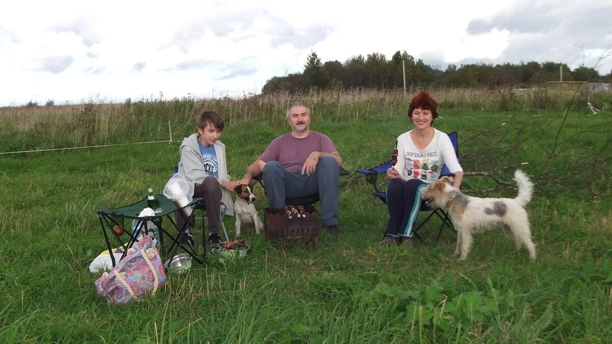 Наш участок, 2016 год