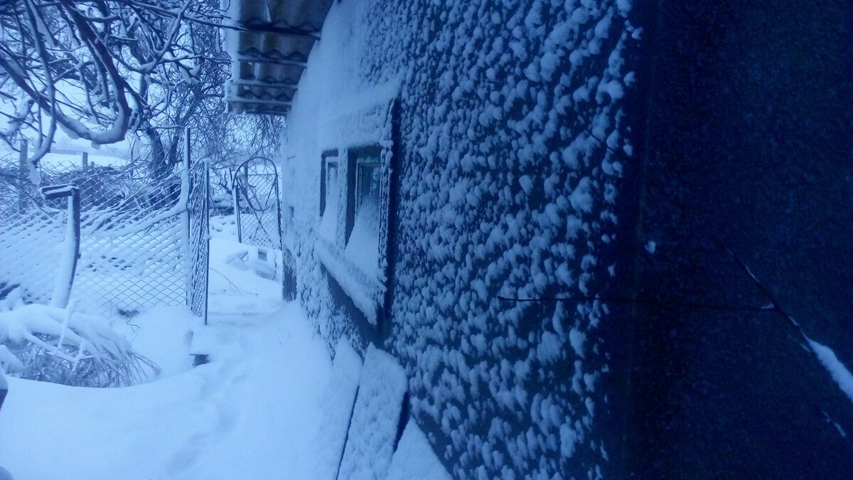 Отнесли кашу, покормили птицу, тропинки ещё утренние