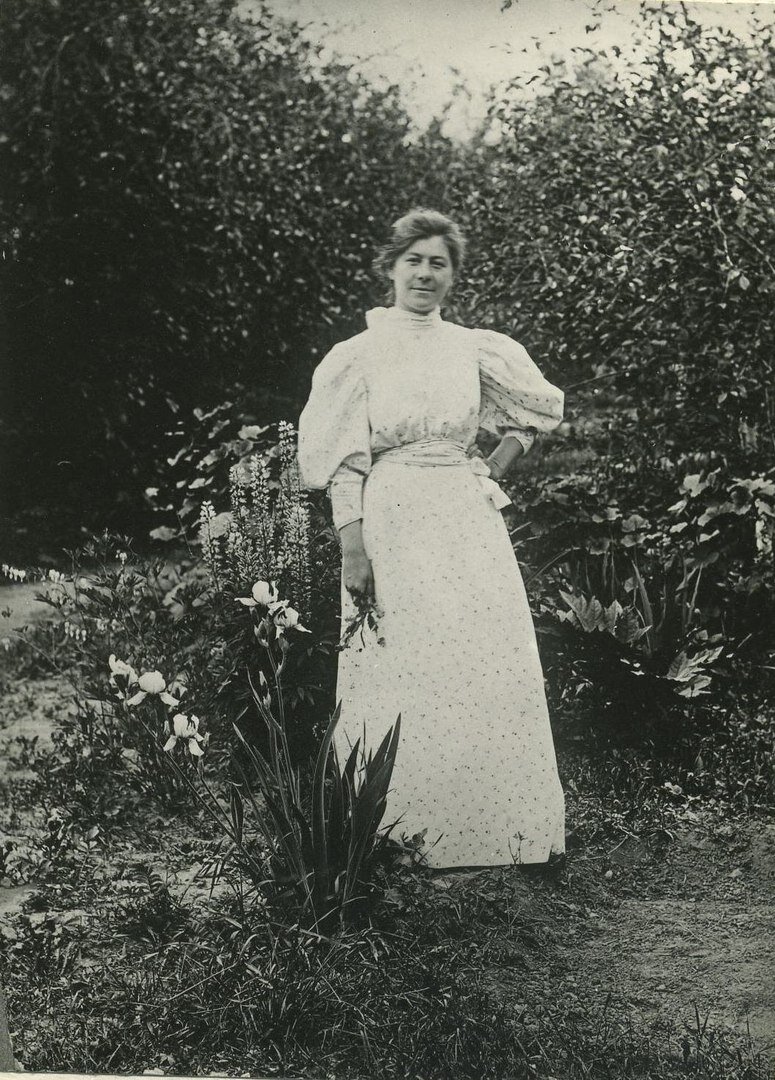 чехова. а п чехов хамелеон 6 класс. ирония чехова. ирония у чехова. сатира в рассказе хамелеон.