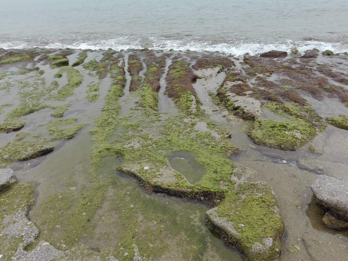 Море в Махмутларе 26 марта 2020 г. Аланья. Фото автора.