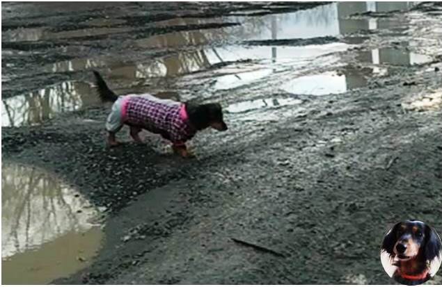 Буду благодарна, если поставите лайк и подпишетесь!  Вы поможете развитию канала