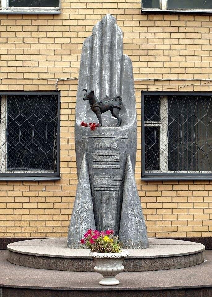 Памятник собаке Лайке в Москве(фото из интернета)
