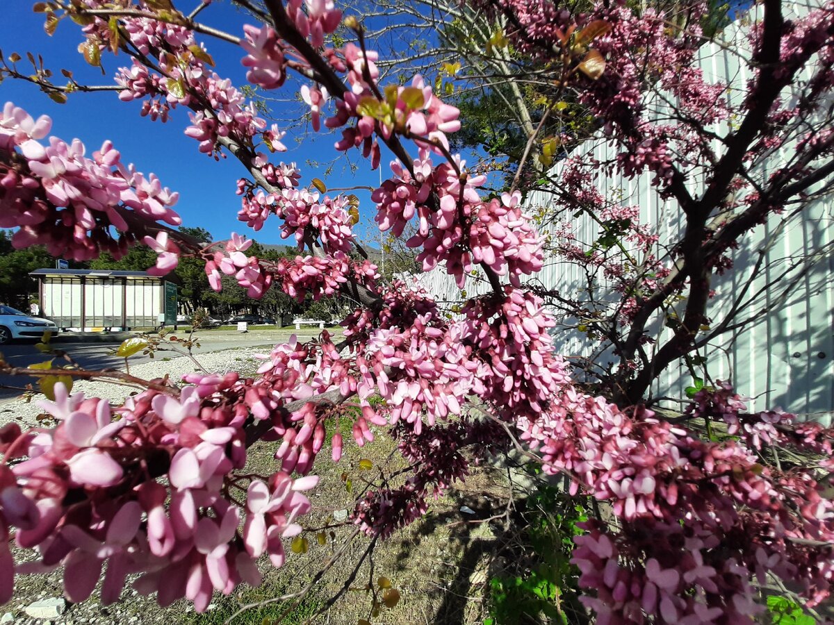 Нудисты на пляже в геленджике эротика - фото порно devkis