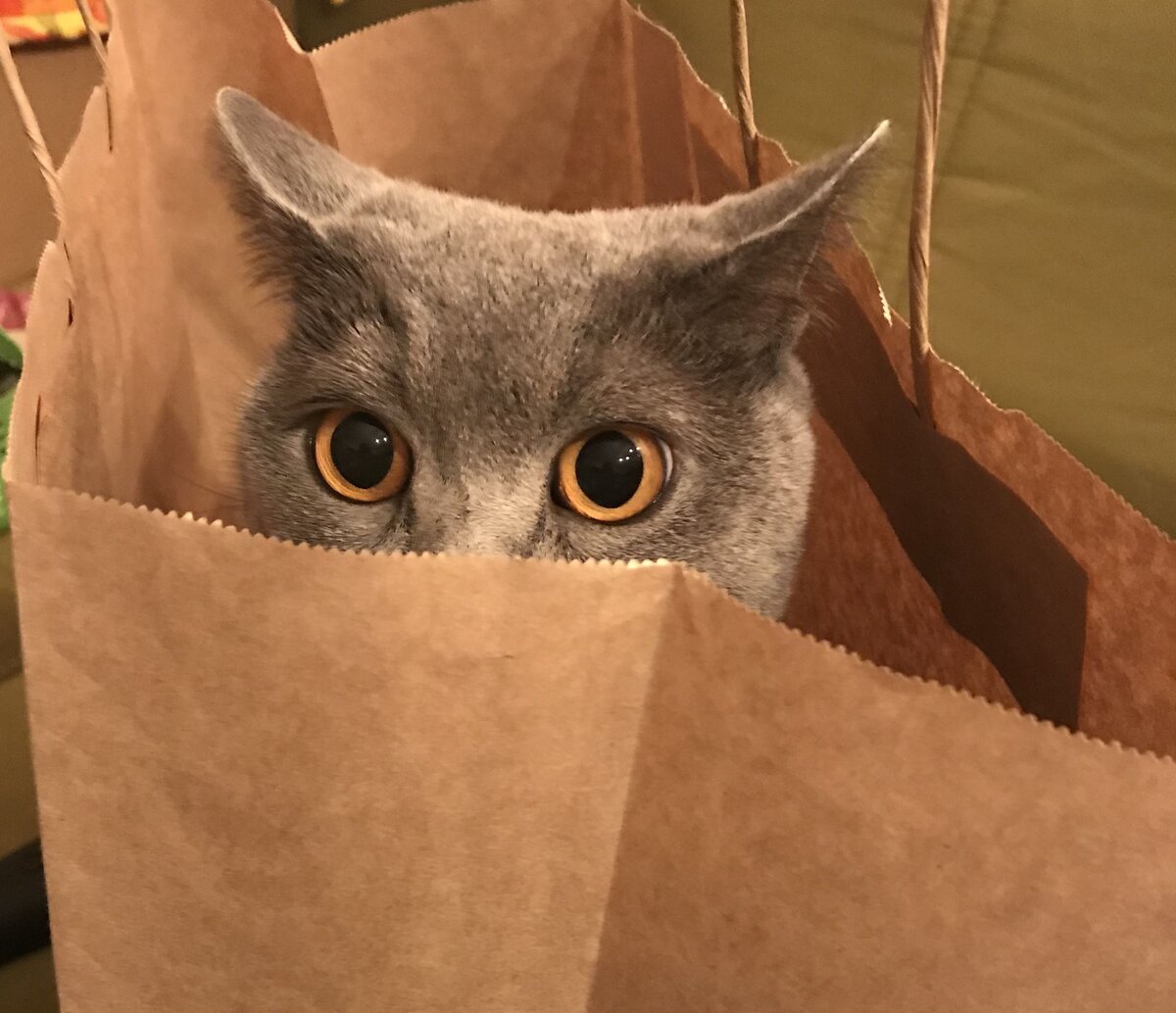 ЧТО? Это не я!