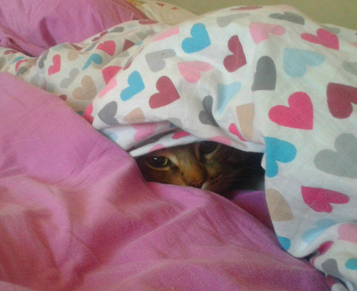 Мой)