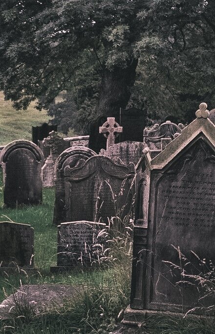 Я с детства привыкла к кладбищу и ничуть его не боялась и даже часто прогуливалась там...