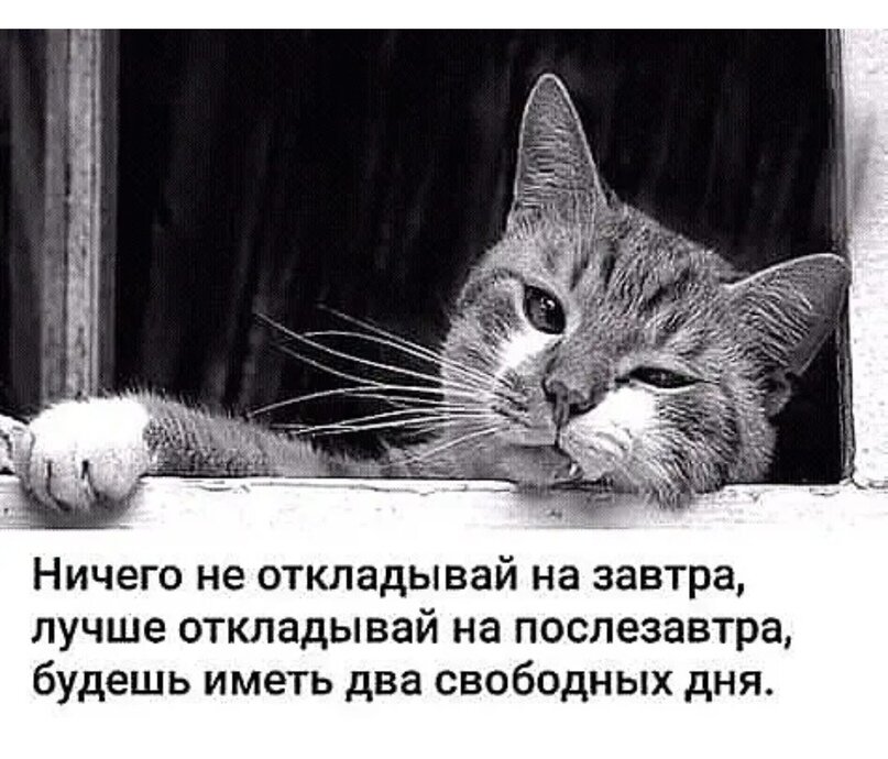 Как говорил мой Дед не откладывай пьянку на завтра секс на старость - выпуск №