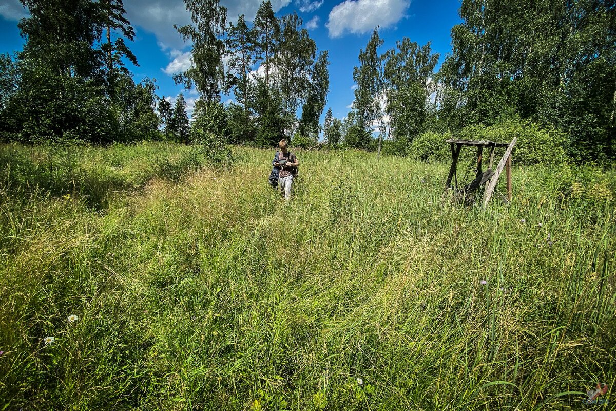 В лесу нашел одинокий заброшенный дом из сруба. Осмотрел и принял решение его восстановить