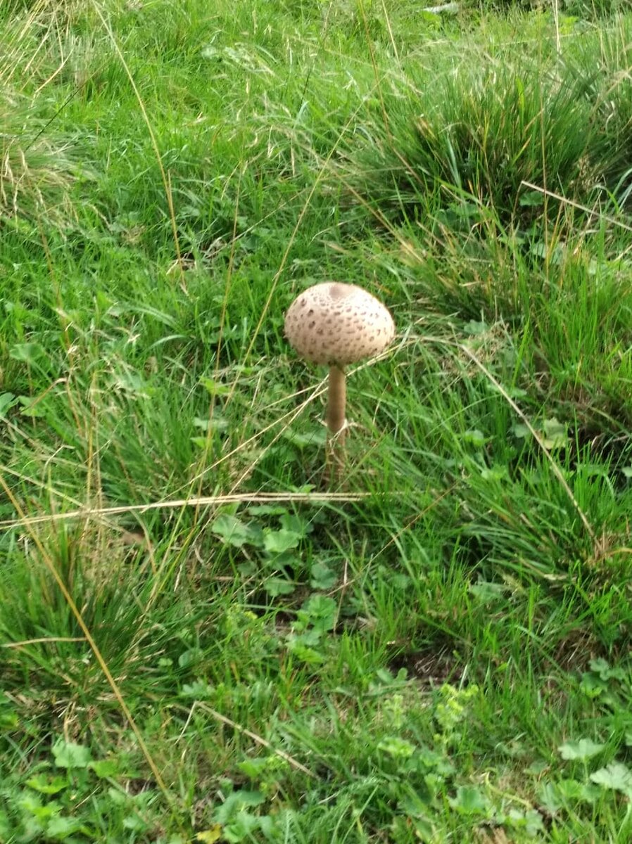 выбора нет. Фото автора