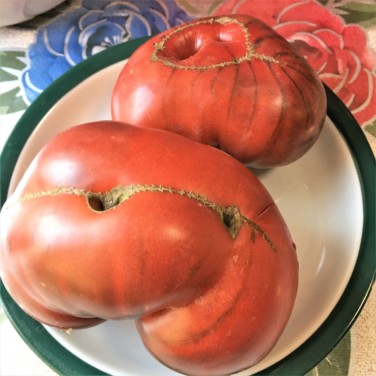 коричневые помидоры сорта фото