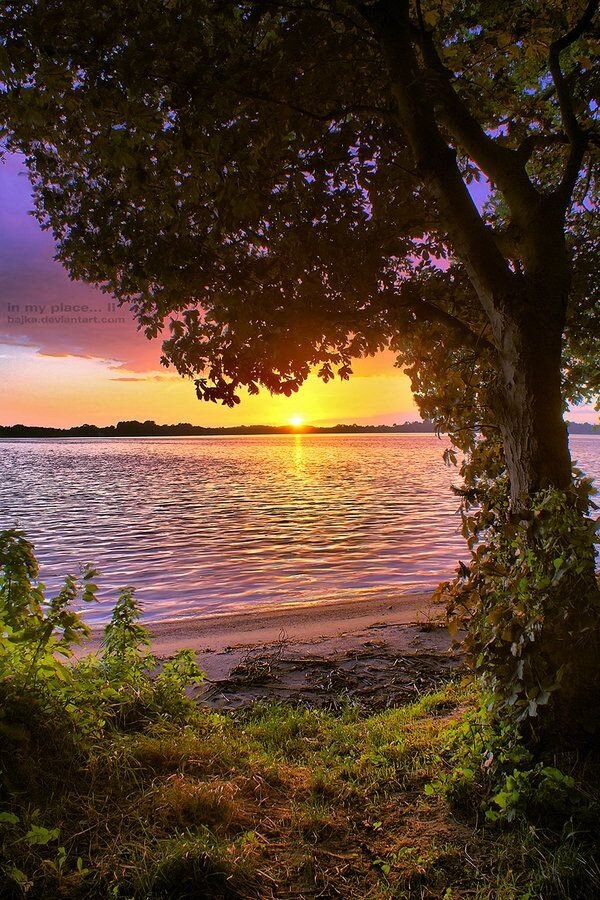 Фото взято из открытого источника. Для разбавления текста. 