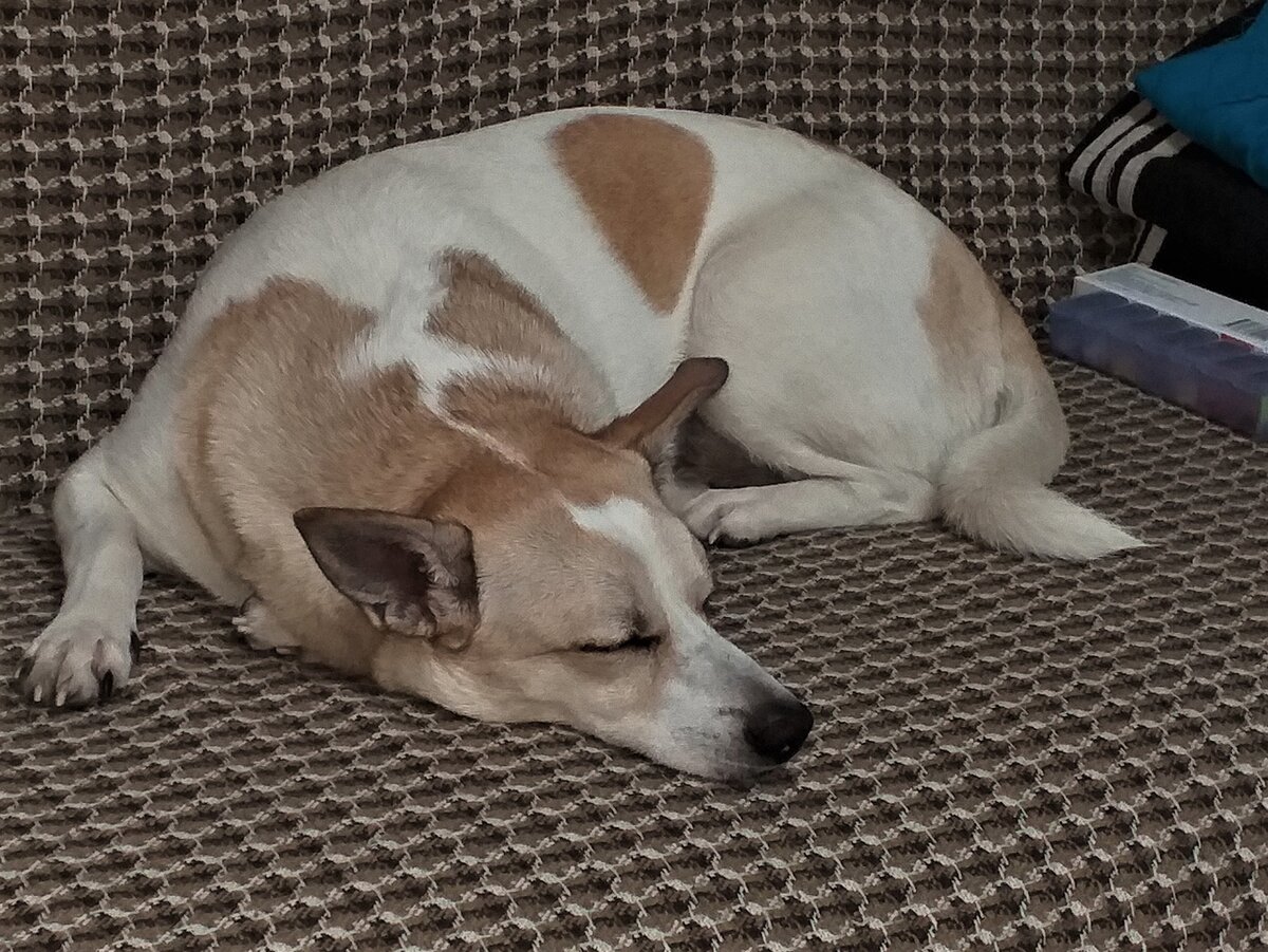 Тепло на сердце от счастья в финале