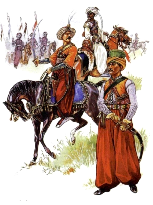 Вот мамлюки, которые когда-то были наняты египетской династией Айюбидов , а потом захватили власть в Египте