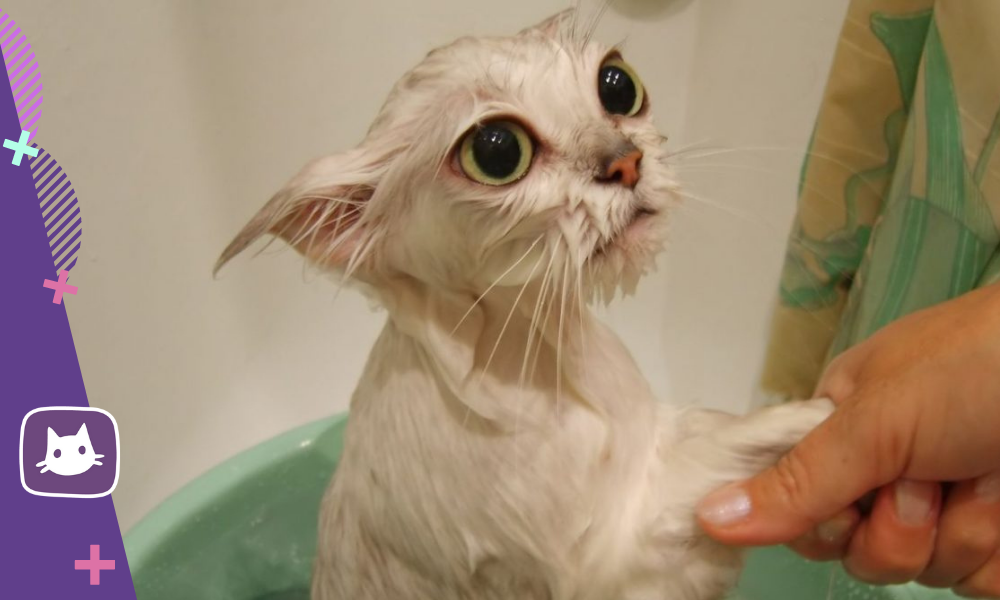 Генетический фактор