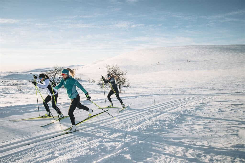 Чехлы для лыж ⛷️ со скидкой купить по распродаже в интернет магазине OZON