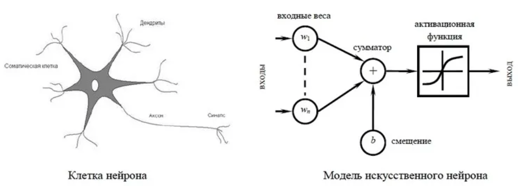 Схема искусственного нейрона