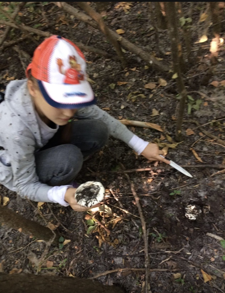 Фото из личного архива. Моя дочь , сама нашла грибочки.