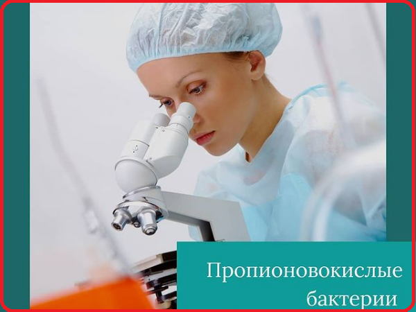 Пропионовокислые бактерии
