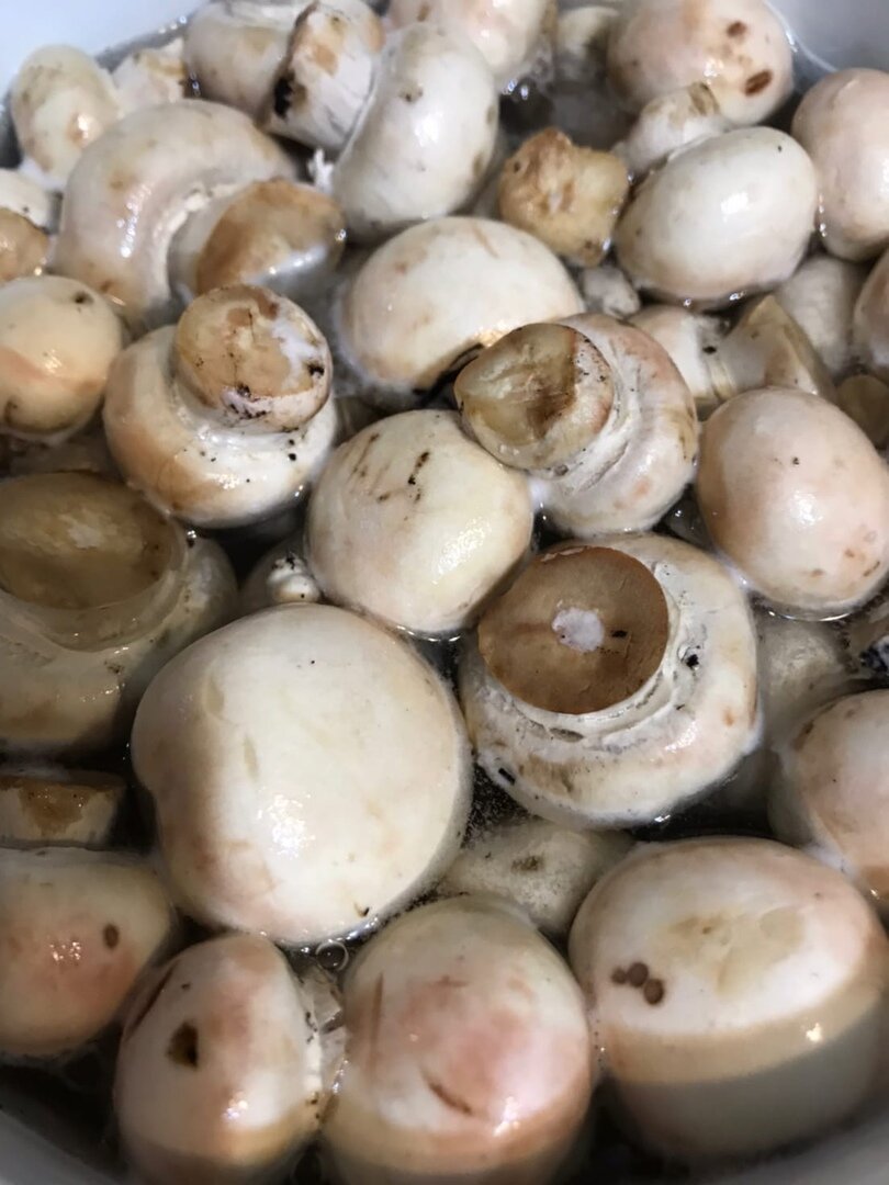 Маринованные грибы быстрого приготовления – кулинарный рецепт