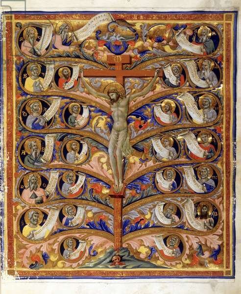 Пачино ди Буонагвида Древо жизни