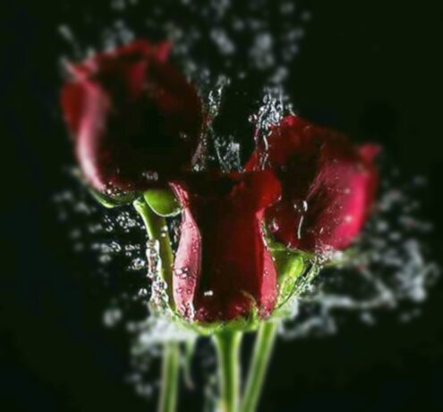 Фото с Pixabay