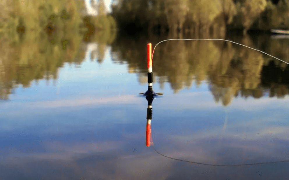 Летняя поплавочная рыбалка