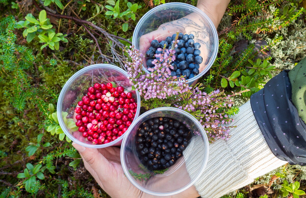Лето — это не только пора отдыха и восстановления сил