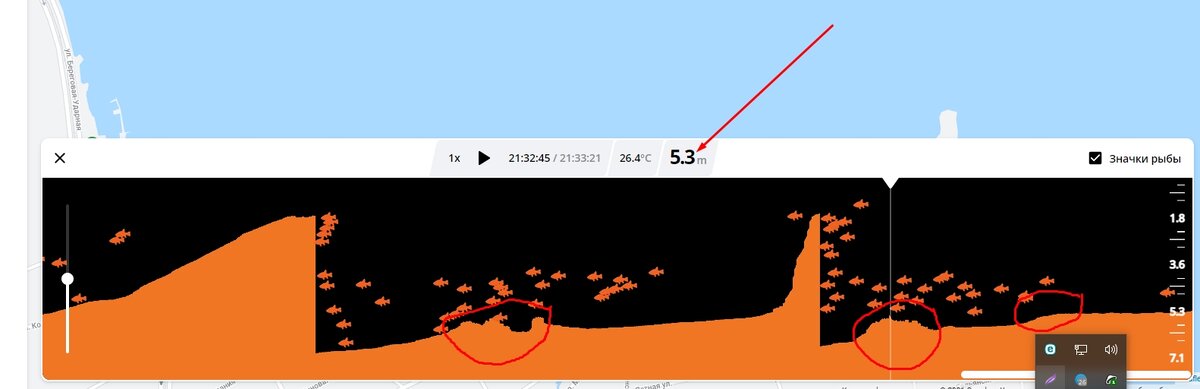 Дипер и рыбка на дне