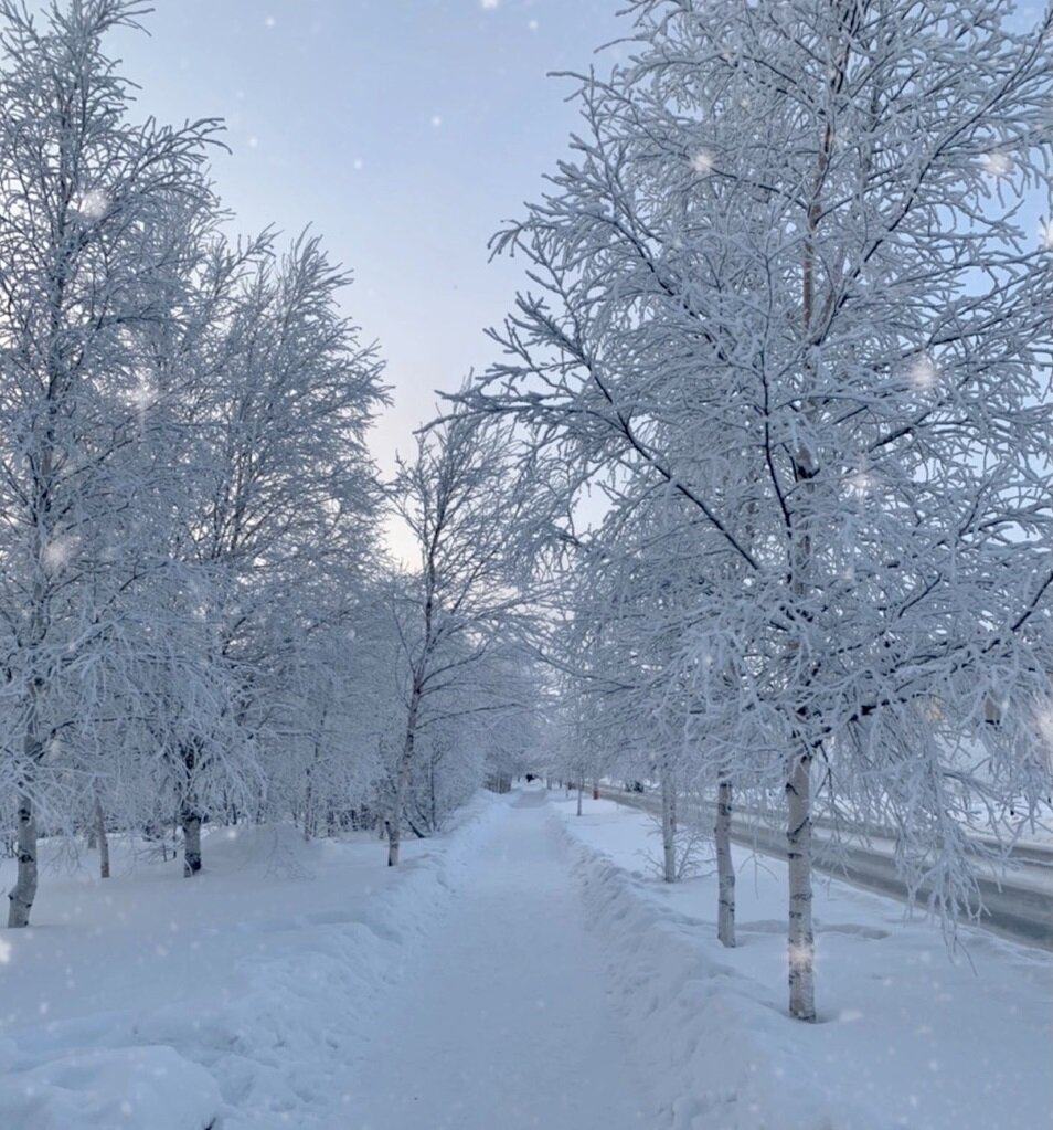 Фото автора