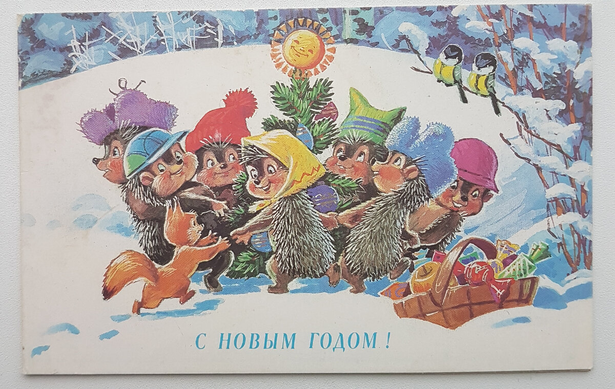1991 год.