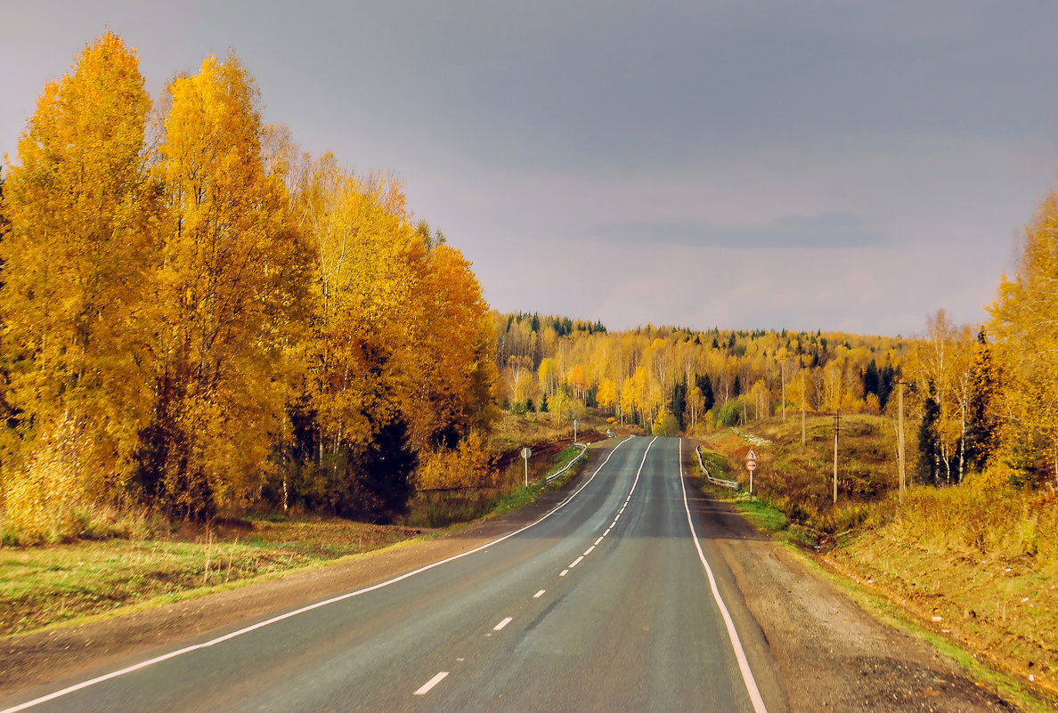 Яндекс.Картинки