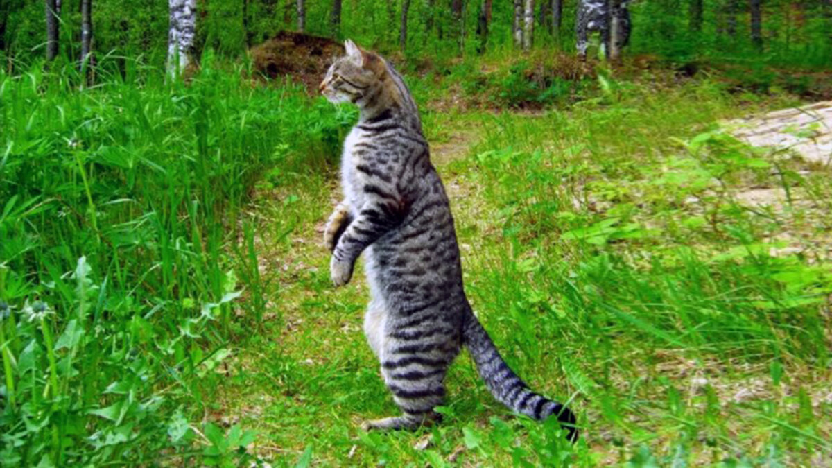 источник фото: fishki.net