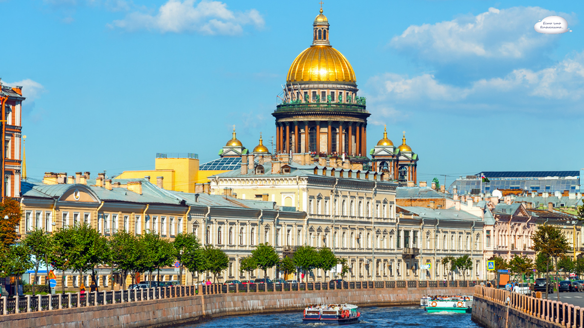 Фото из свободного доступа интернет Яндекс.картинки