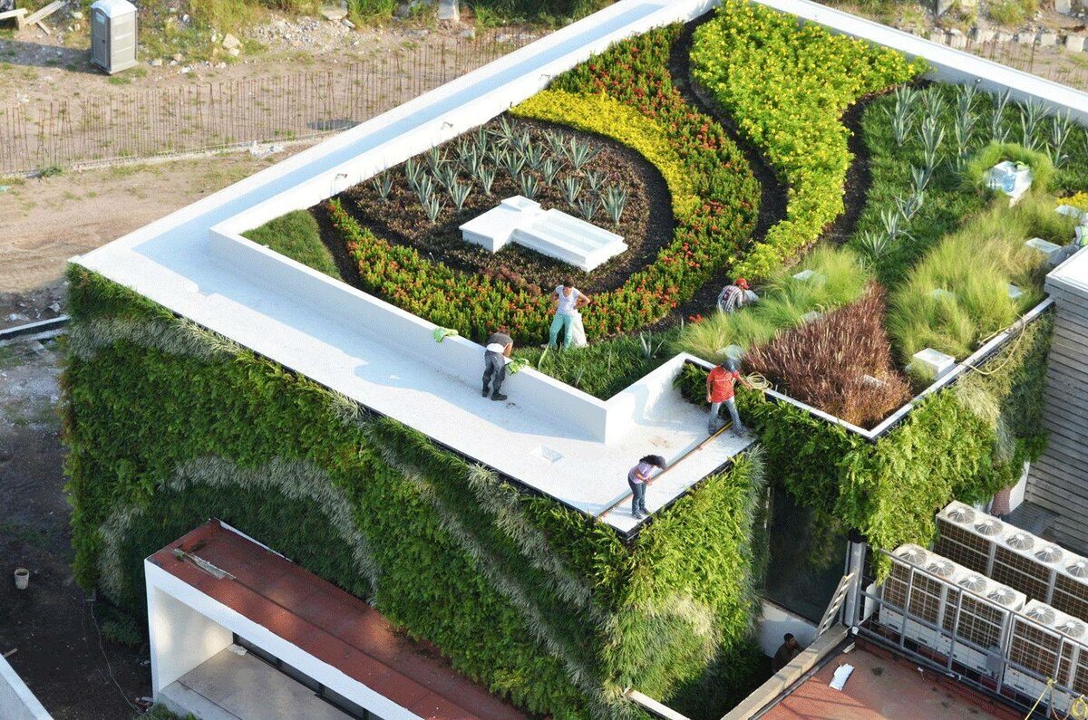 Эксплуатируемая плоская кровля Green Roof