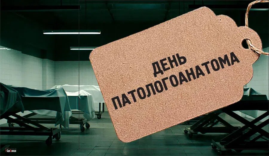 День патологоанатома. Иллюстрация: Курьер.Среда