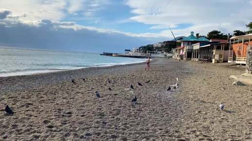 Крым погода - где-то снег, а в Алуште цветут одуванчики.