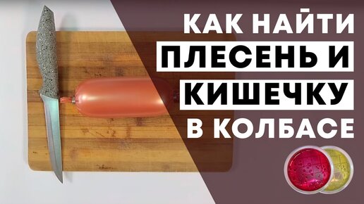 Как найти плесень или кишечную палочку в колбасе?