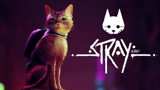 Обзор игры Stray. Самая смелая лапка в мире киберпанка