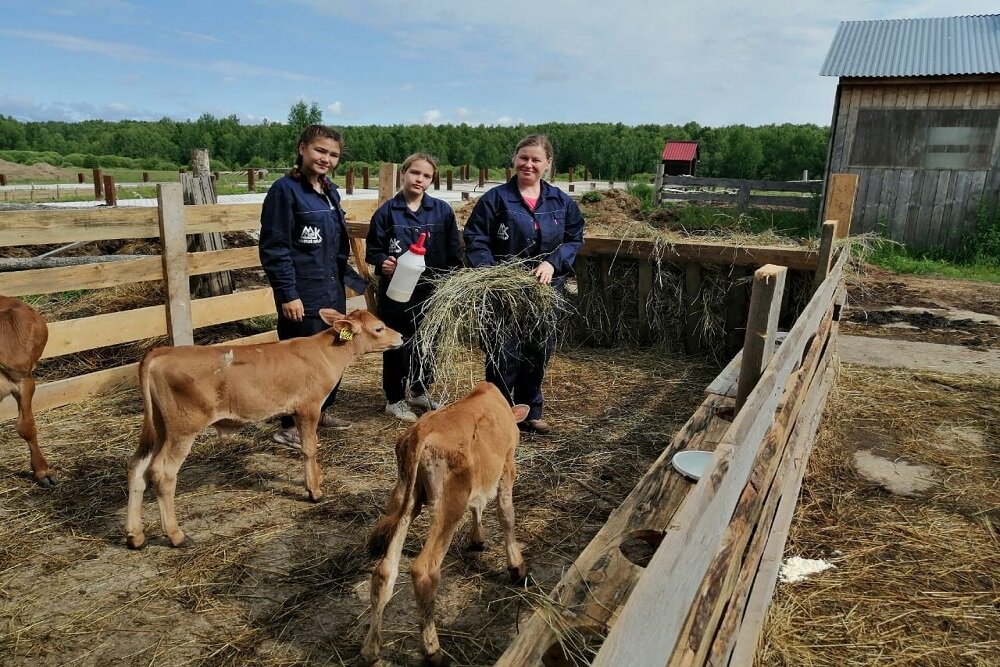 15 крутых идей для организации агротуризма на вашей ферме