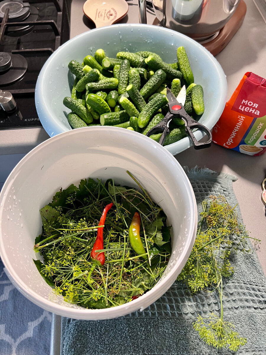 Рецепт бочковых огурцов 