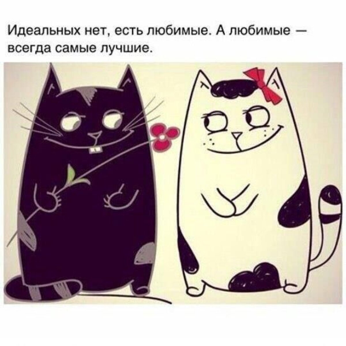 Рисунки котиков