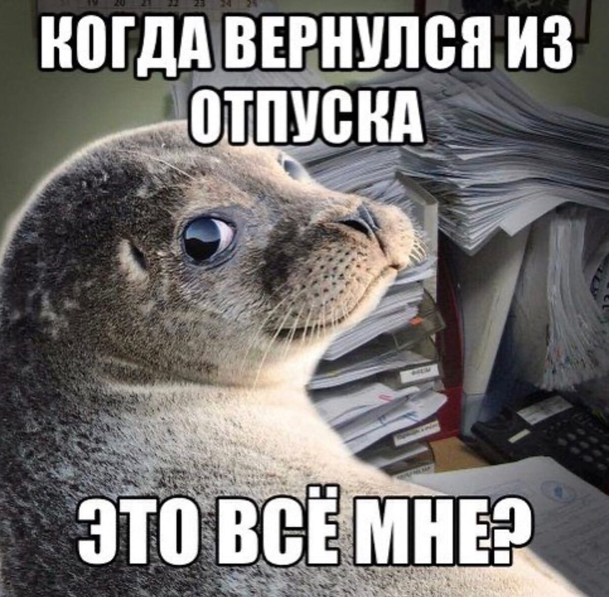 первый день из отпуска