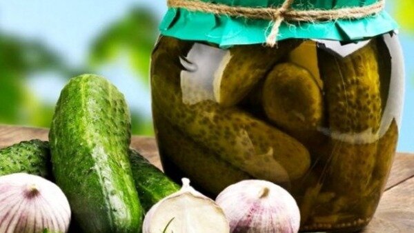 Секреты засолки огурцов