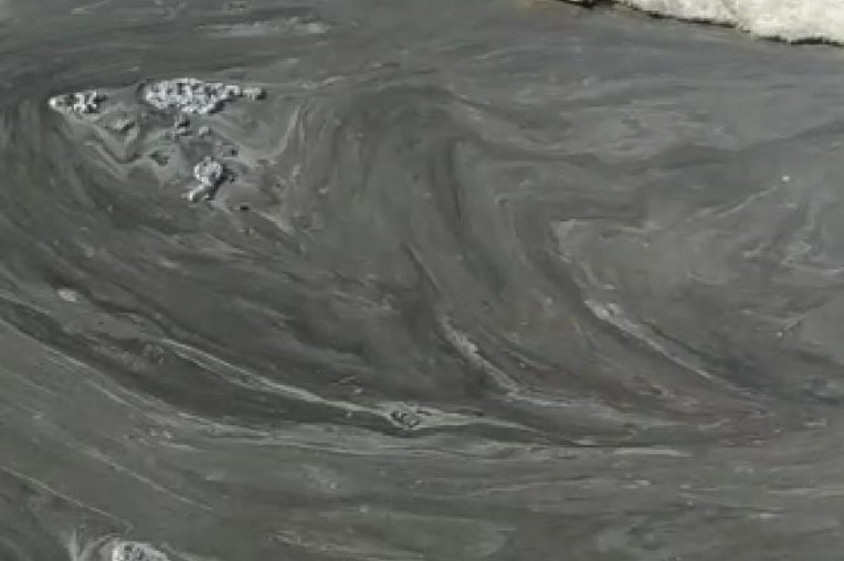    Мазутное пятно обнаружено на берегу Амурского залива