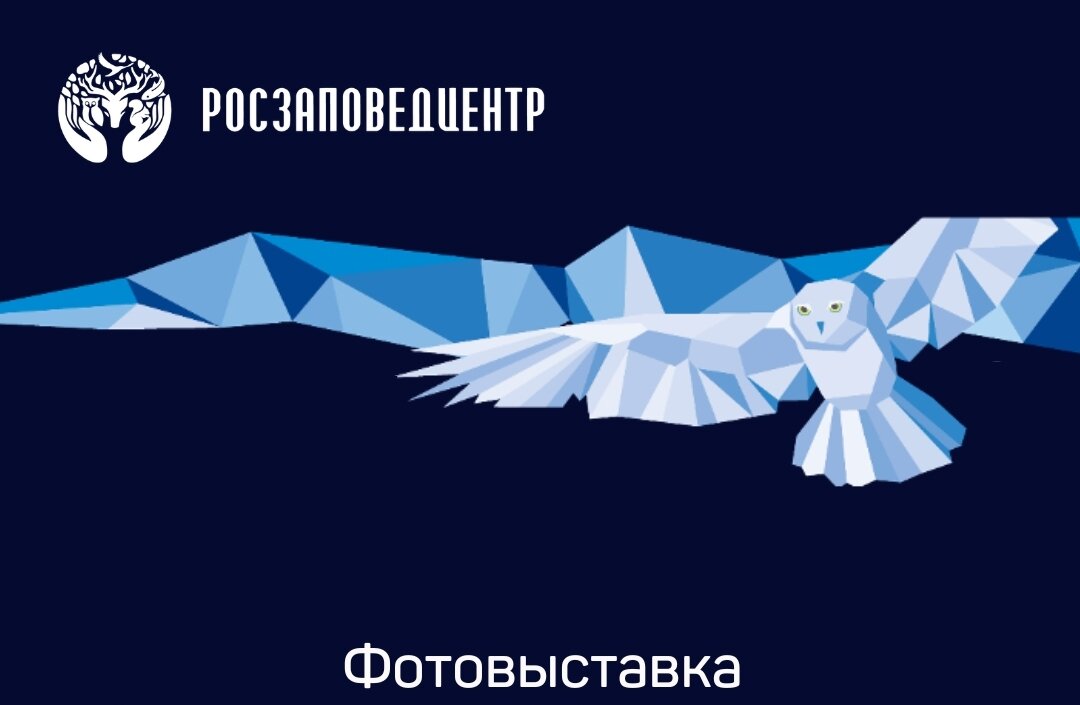    Фото: пресс-служба Росзаповедцентра Минприроды России