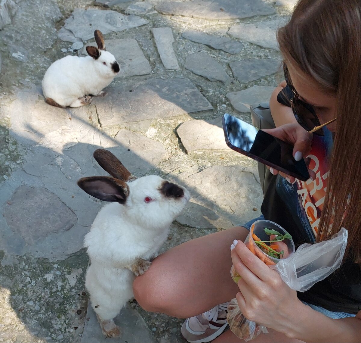 Кролики в парке живой природы "Зов джунглей", фото автора