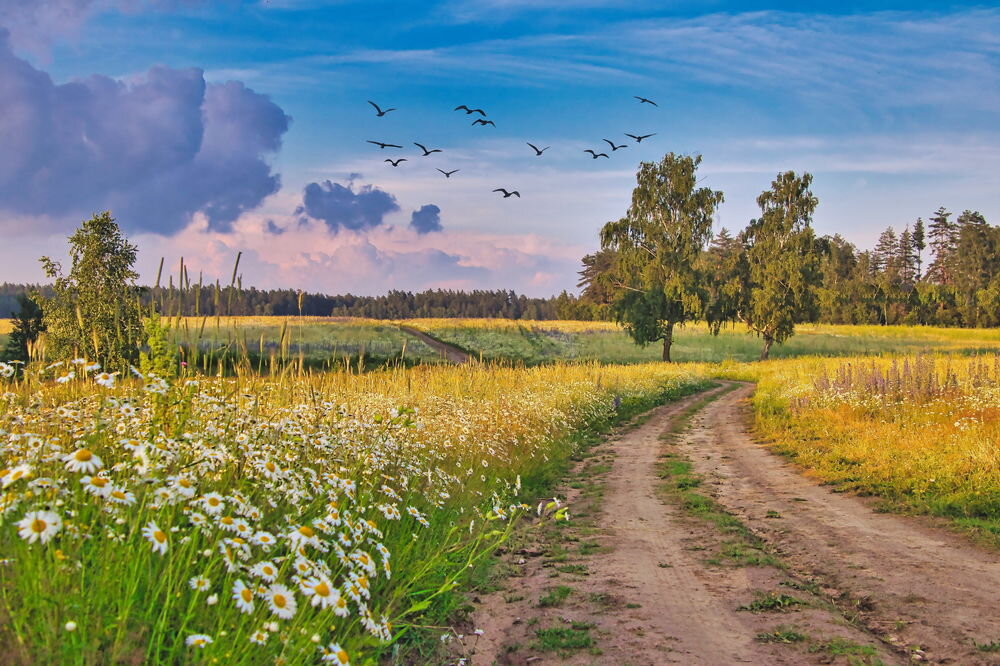 Картинка с ресурса foto-ram.ru
