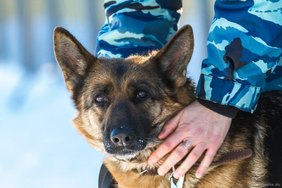 Фото из интернета